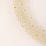 Clear / Gold Round Disposable Serving Plates